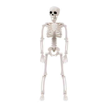 Набор скелетов для Хэллоуина, полный скелет для декора сада во дворе на Хэллоуин